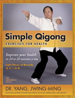 Simple Qigon