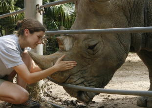 Bu, Rhino at Houston Zoo