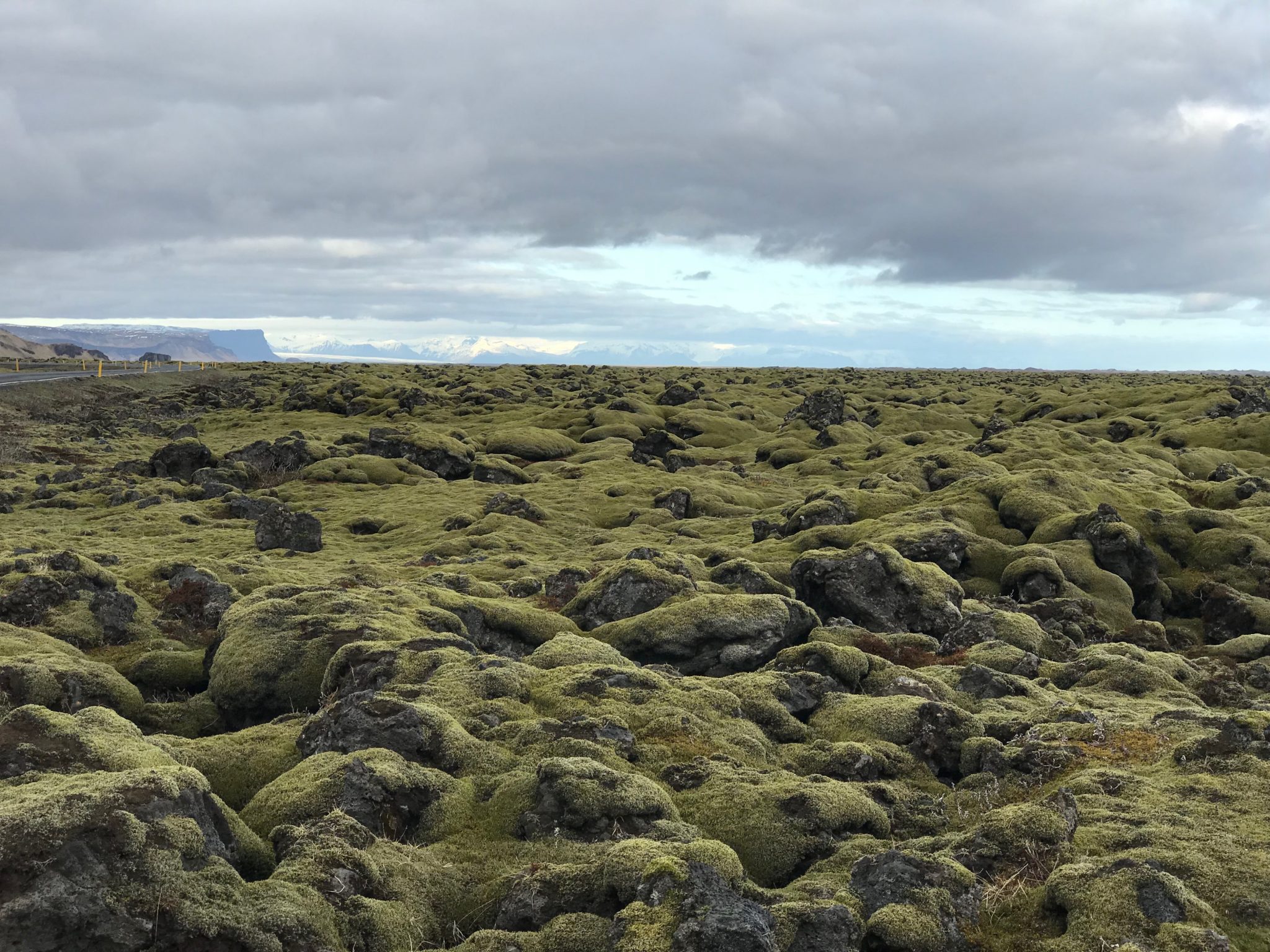 Iceland is green